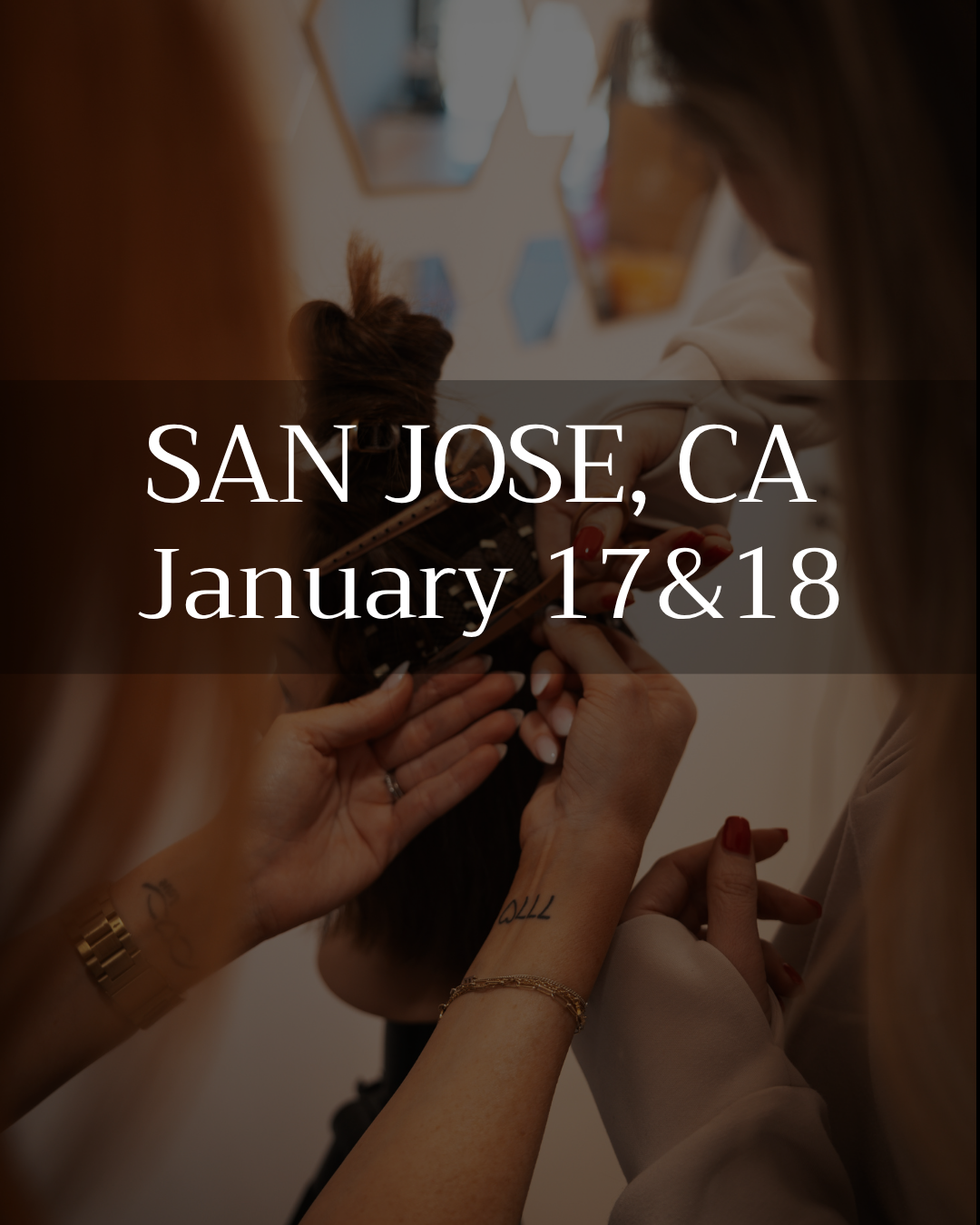 Mesh Mastery 2 Day Course - San Jose, CA