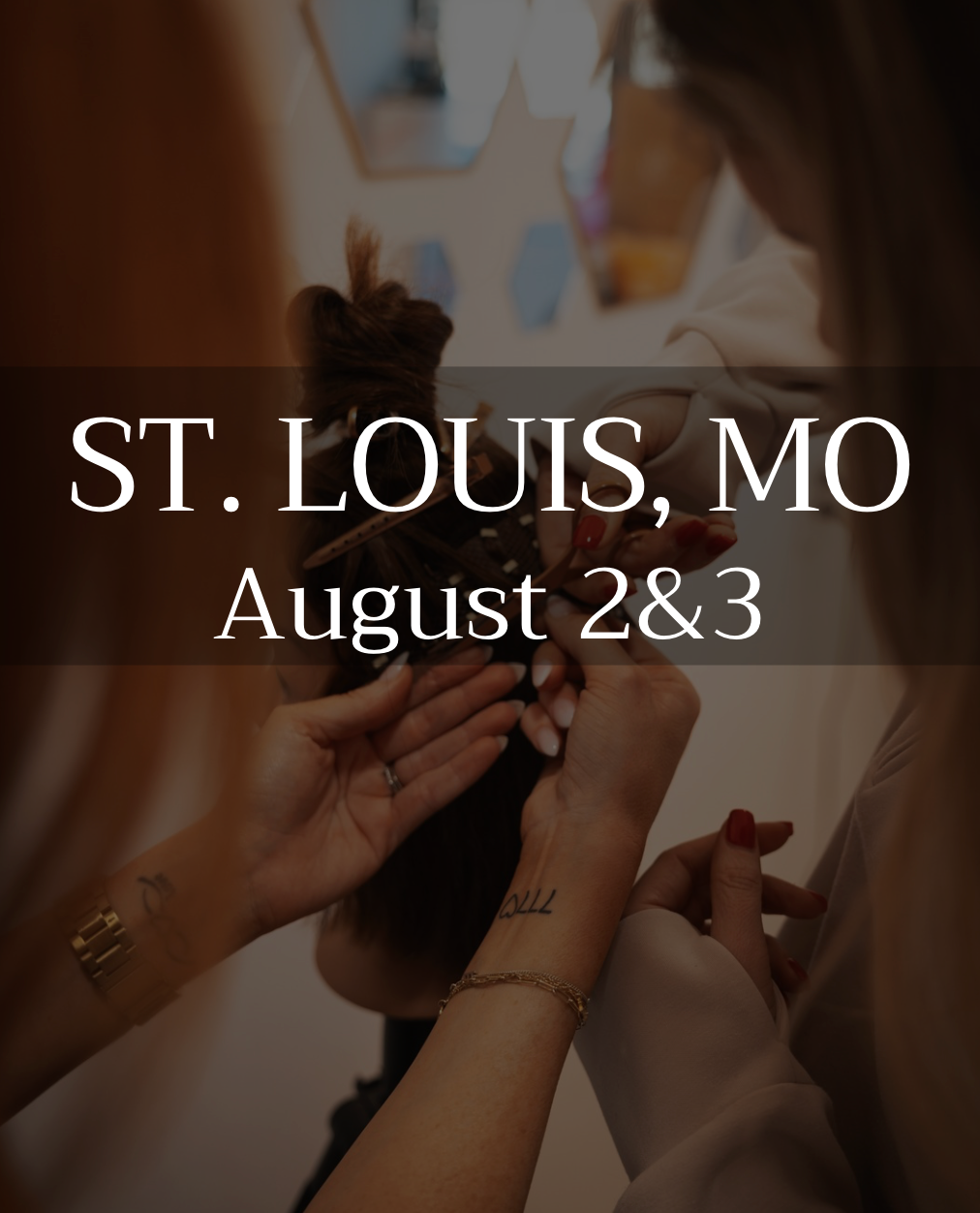 Mesh Mastery 2 Day Course - St. Louis, MO