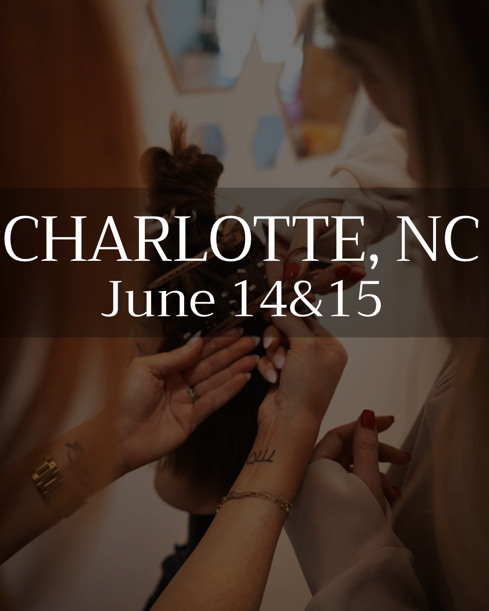 Mesh Mastery 2 Day Course - Charlotte, NC