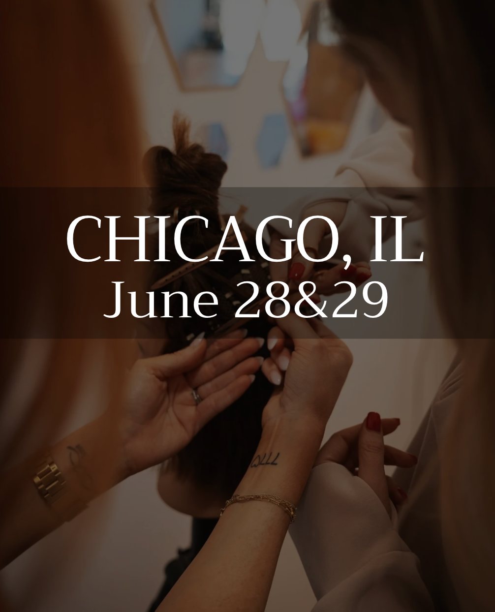 Mesh Mastery 2 Day Course - Chicago, IL (June)