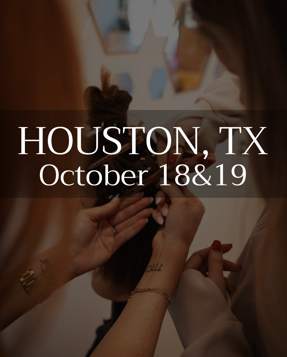 Mesh Mastery 2 Day Course - Houston, TX (October)